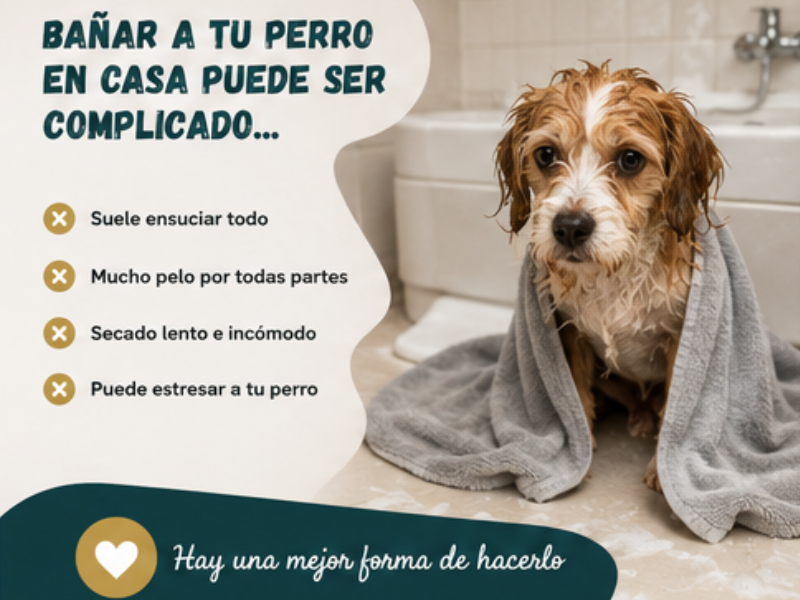 BAÑAR EN CASA COMPLICADO